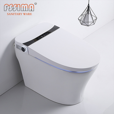 Japanese Style Smart Toilet Bidet Fully Automatic Inductive 680x405mm