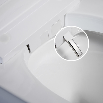 Japanese Style Smart Toilet Bidet Fully Automatic Inductive 680x405mm