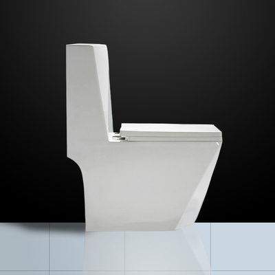 Dual Flush Floor Mounted Wc With P Trap Diamond Shape Washdown