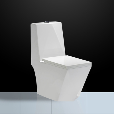Dual Flush Floor Mounted Wc With P Trap Diamond Shape Washdown